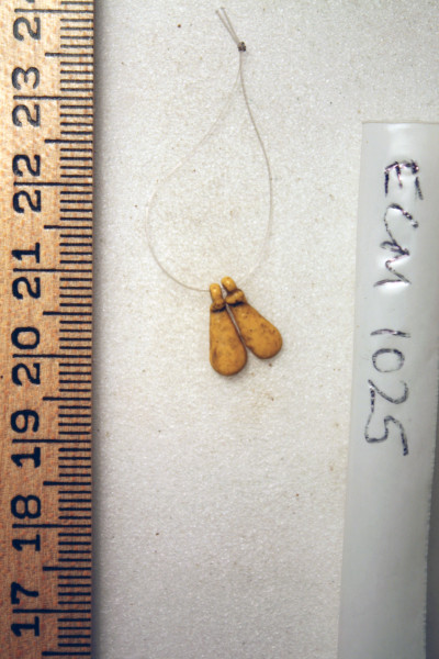 ECM.1025-2010-A image ECM.1025-2010-A