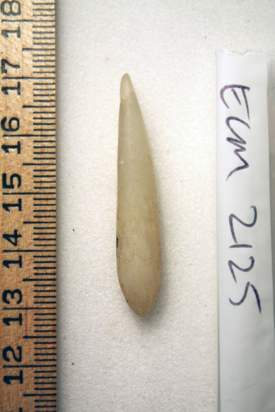 ECM.2125-2010-A image ECM.2125-2010-A