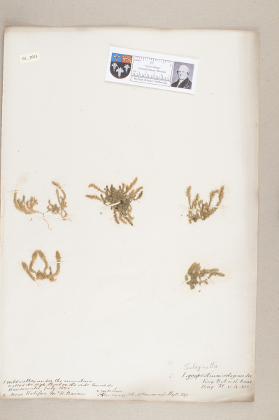 NHM_HH_3.13-2010 image NHM_HH_3.13-2010