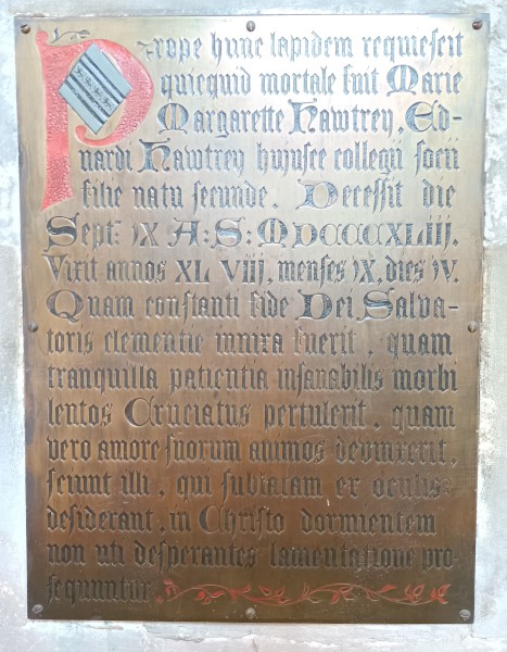 FDA-A.551-2018-A image FDA-A.551-2018-A