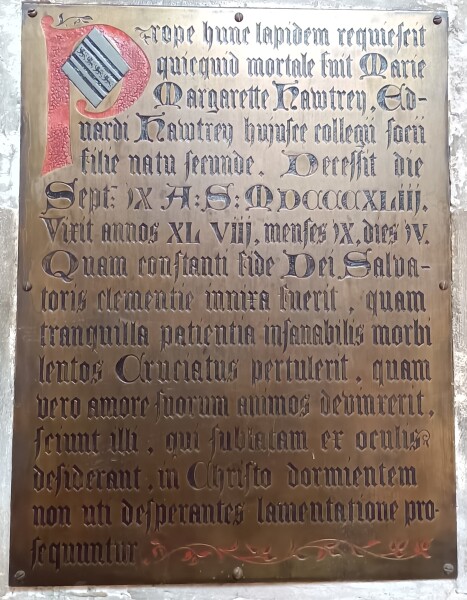 FDA-A.551-2018-A image FDA-A.551-2018-A