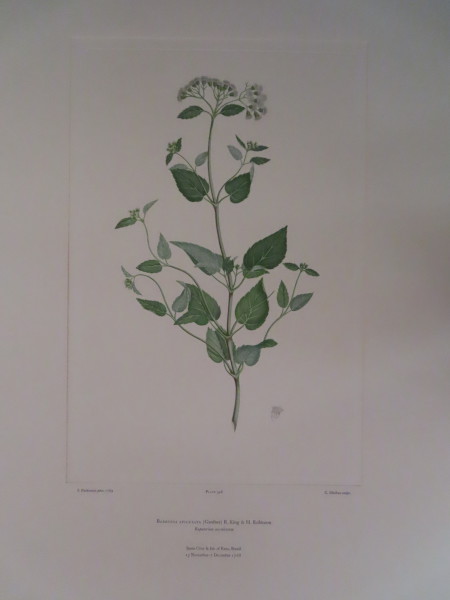 image FDA-E.2916_16_12-2016-A