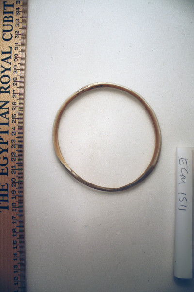 ECM.1511-2010-A image ECM.1511-2010-A