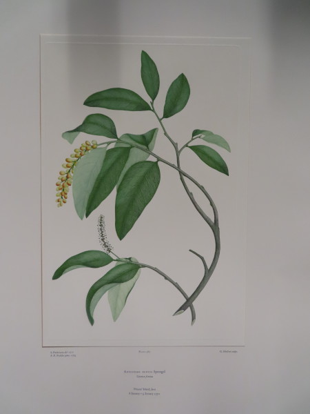 image FDA-E.2916_18_15-2016