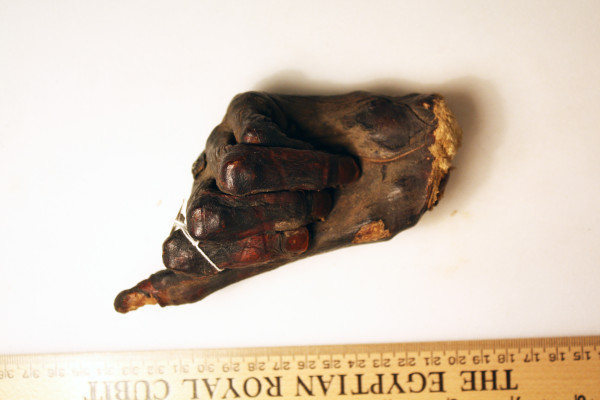 ECM.2310-2017-C image ECM.2310-2017-C