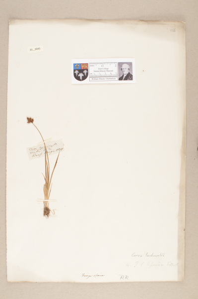 NHM_HH_33.45-2010 image NHM_HH_33.45-2010