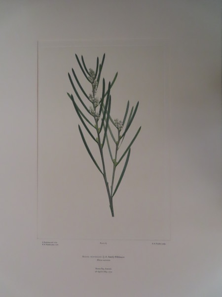 FDA-E.2916_4_23-2016-A image FDA-E.2916_4_23-2016-A