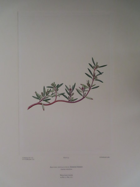 FDA-E.2916_6_26-2016-A image FDA-E.2916_6_26-2016-A