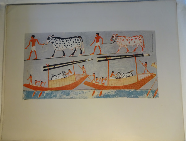 image FDA-E.3055_64-2018