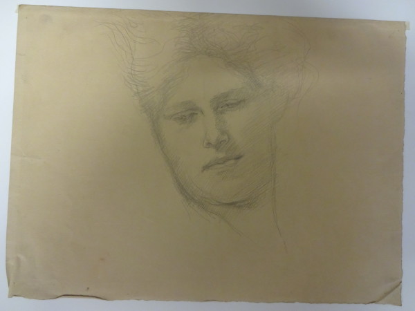 FDA-D.1502-2016 image FDA-D.1502-2016