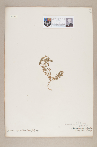 NHM_HH_9.64-2010 image NHM_HH_9.64-2010