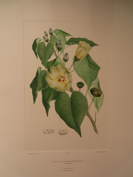 image FDA-E.2916_28_10-2016-A