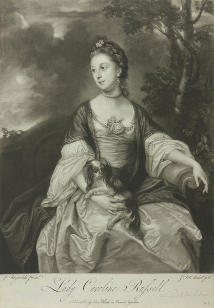 FDA-E.1246-2014 image FDA-E.1246-2014