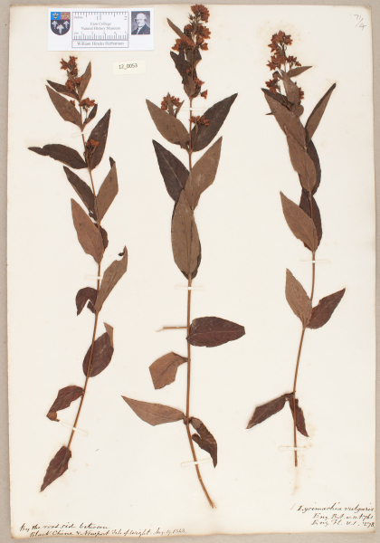 NHM_HH_12.53-2010 image NHM_HH_12.53-2010