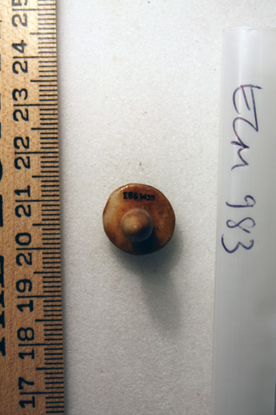 ECM.983-2010-B image ECM.983-2010-B