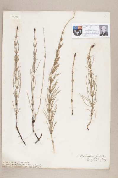 NHM_HH_3.22-2010 image NHM_HH_3.22-2010