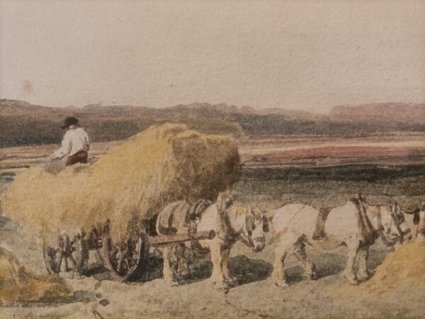 FDA-D.550-2010-B image FDA-D.550-2010-B