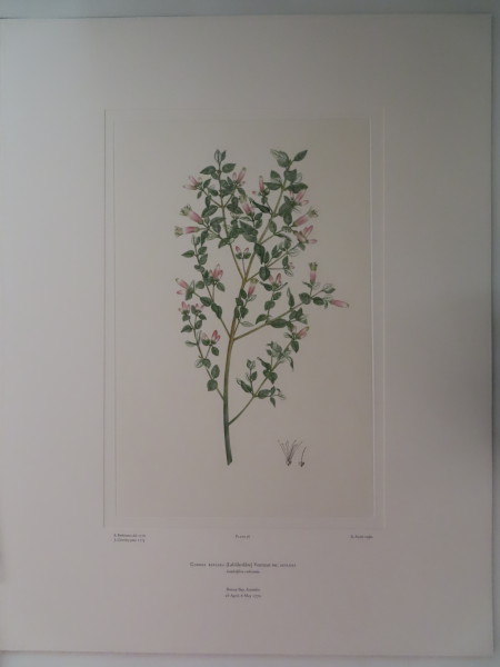 FDA-E.2916_2_17-2016 image FDA-E.2916_2_17-2016