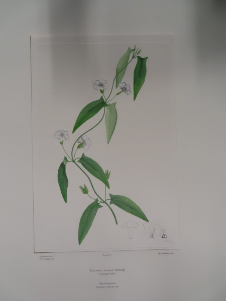 image FDA-E.2916_18_4-2016