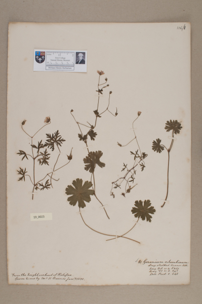 NHM_HH_19.23-2010 image NHM_HH_19.23-2010