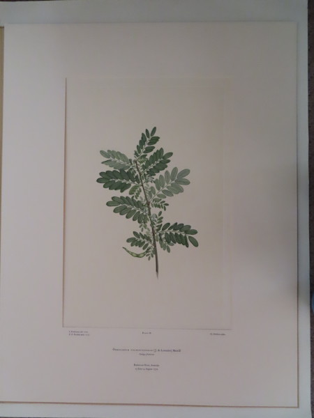 FDA-E.2916_4_4-2016 image FDA-E.2916_4_4-2016