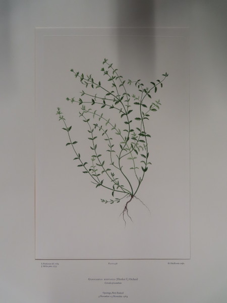 image FDA-E.2916_21_18-2016-A