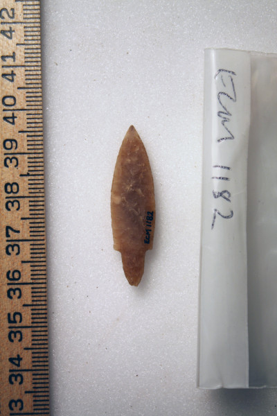 ECM.1182-2010-B image ECM.1182-2010-B