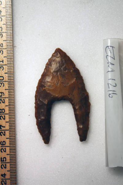 ECM.1216-2010-A image ECM.1216-2010-A