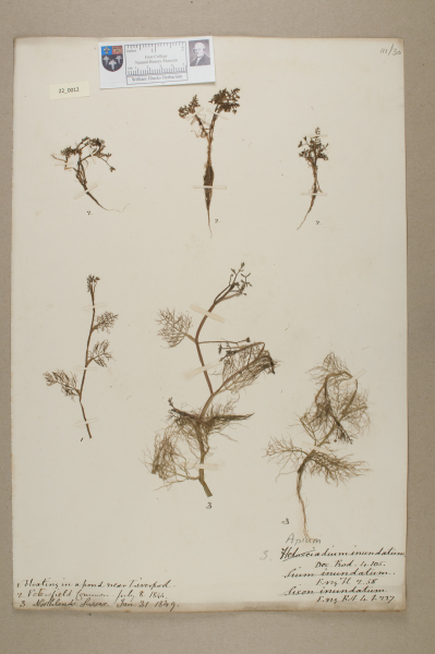 NHM_HH_22.12-2010 image NHM_HH_22.12-2010