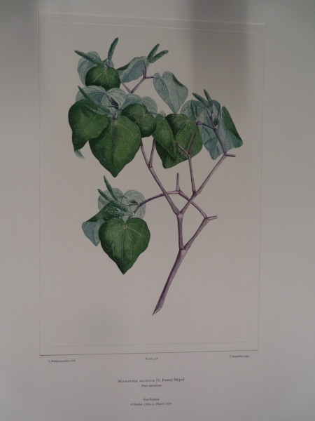 image FDA-E.2916_25_24-2016