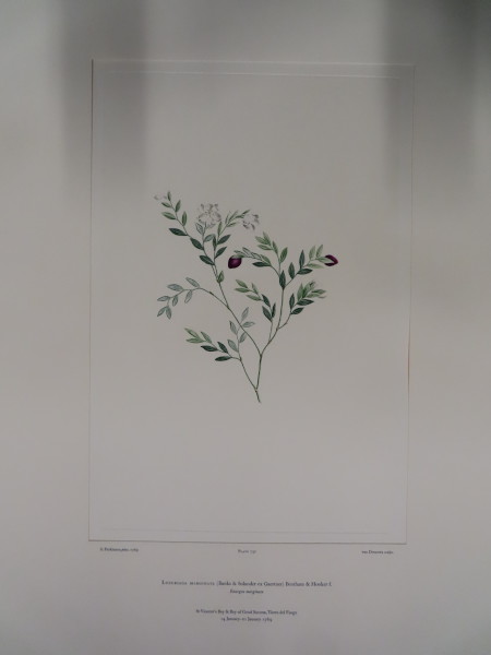 image FDA-E.2916_34_18-2016-A