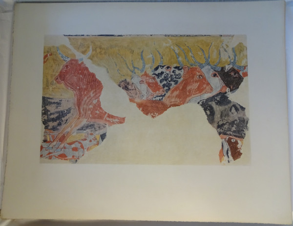 FDA-E.3055_74-2018 image FDA-E.3055_74-2018