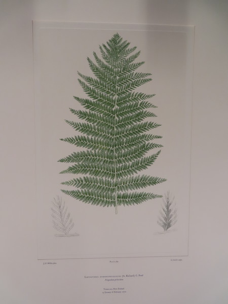 image FDA-E.2916_27_26-2016-A