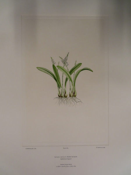 FDA-E.2916_31_18-2016 image FDA-E.2916_31_18-2016