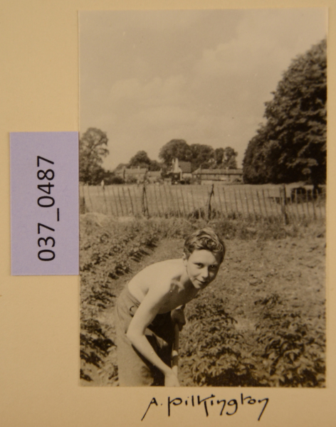 PA-A.37_487-2012 image PA-A.37_487-2012