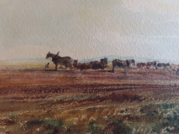 FDA-D.1689-2023-E image FDA-D.1689-2023-E