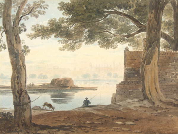 FDA-D.524-2010 image FDA-D.524-2010