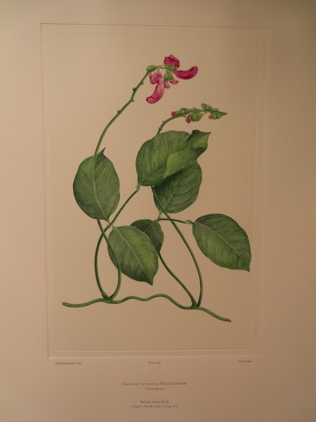 image FDA-E.2916_28_15-2016-A