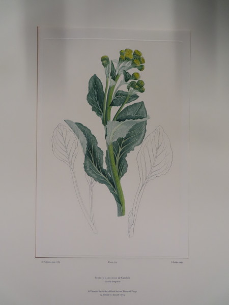 image FDA-E.2916_33_21-2016-A