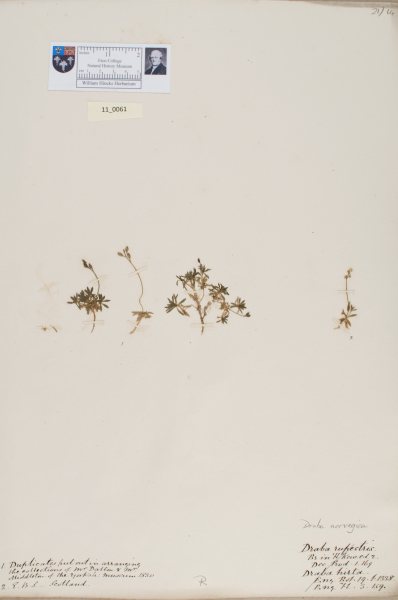 NHM_HH_11.61-2010 image NHM_HH_11.61-2010