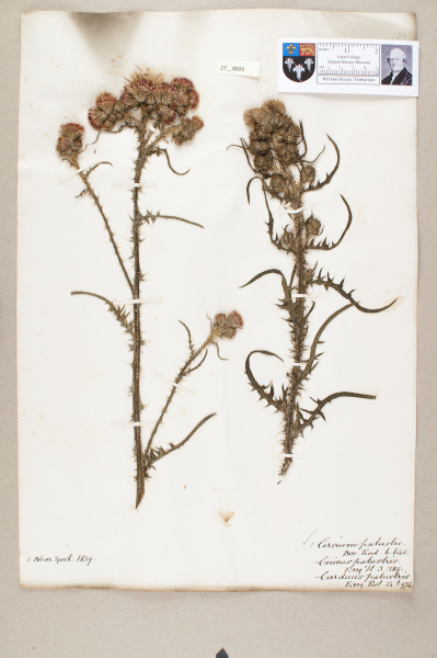 NHM_HH_27.26-2010 image NHM_HH_27.26-2010