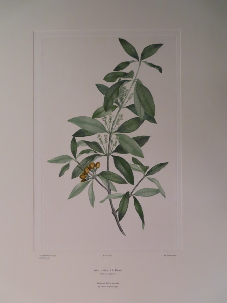 image FDA-E.2916_10_8-2016