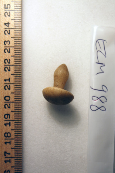 ECM.988-2010-A image ECM.988-2010-A