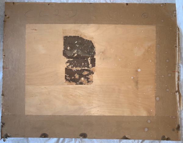 FDA-D.1681-2021 image FDA-D.1681-2021