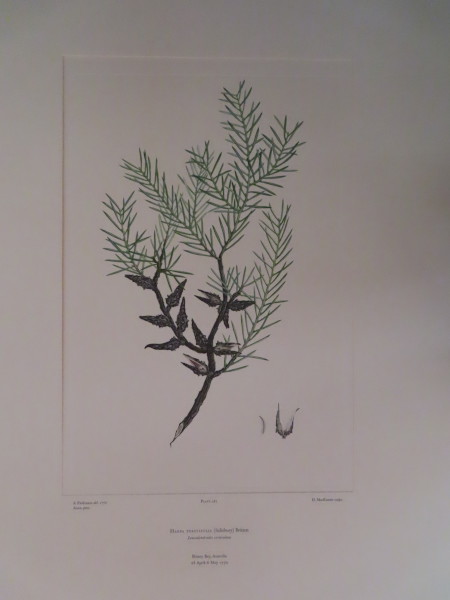 FDA-E.2916_13_14-2016 image FDA-E.2916_13_14-2016