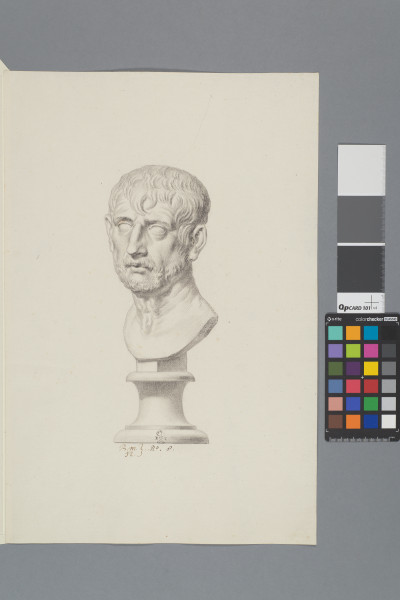 ECL-Bm.12_8-2013-A image ECL-Bm.12_8-2013-A