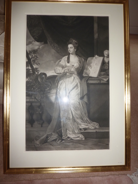 FDA-E.906-2013 image FDA-E.906-2013