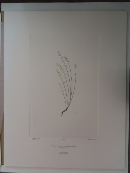 image FDA-E.2916_2_22-2016