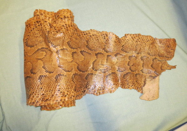 image NHM-BA.12-2018