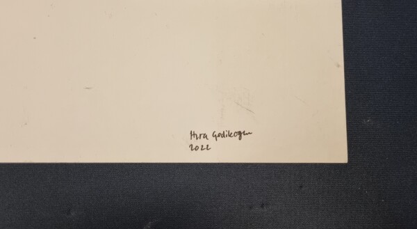 FDA-D.17883-2025-B image FDA-D.17883-2025-B